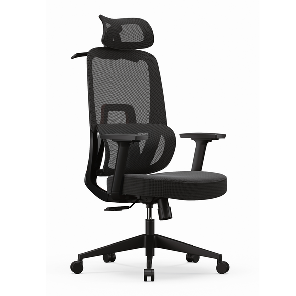 Silla ergonómica Antón negro