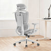Silla ergonómica Apex (gris)
