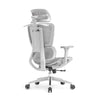 Silla ergonómica Apex (gris)