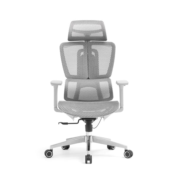 Silla ergonómica Apex (gris)