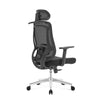 Silla ergonómica Icon