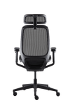 GTCHAIR Neoseat