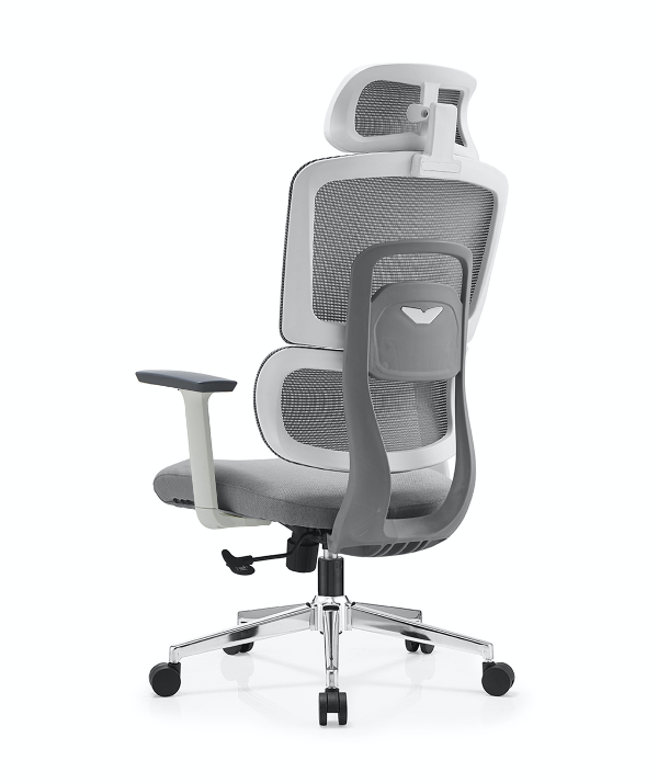 Silla ergonómica Gary Blanca