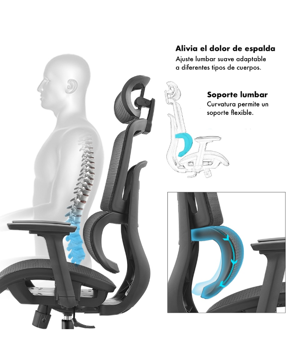 Silla Ergonómica Gary Plus (Full Malla)